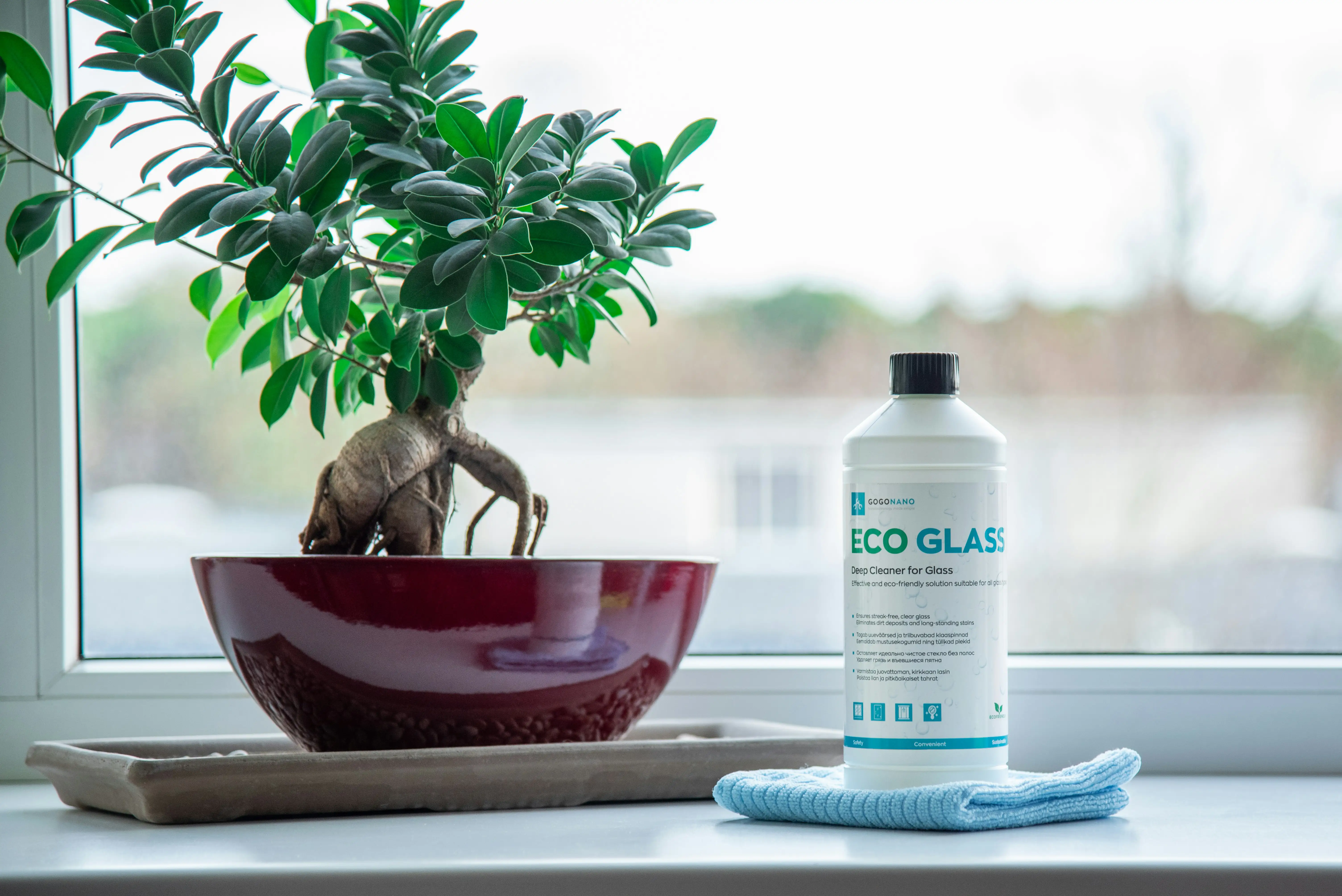 Eco-Friendly House Cleaning Services